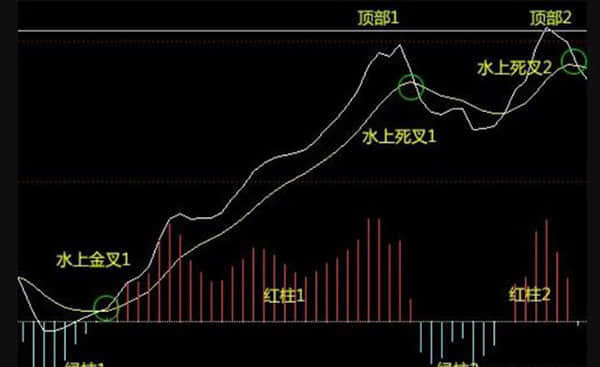 黄山旅游(600054):黄山旅游2023年年度股东大会决议